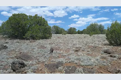 74 Co Road, Concho, AZ 85924 - Photo 10