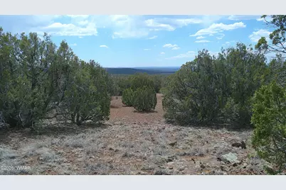 74 Co Road, Concho, AZ 85924 - Photo 6