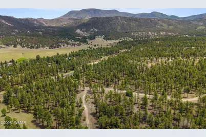 2184 N Highway 191, Nutrioso, AZ 85932 - Photo 4