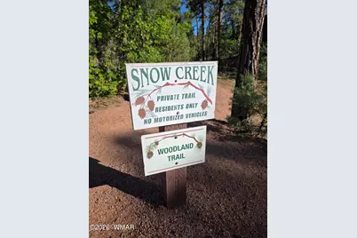 1710 W Snow Creek Loop, Show Low, AZ 85901 - Photo 34