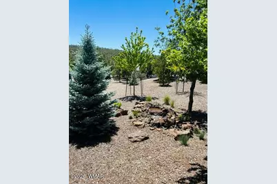 891 W Snow Creek Trail, Show Low, AZ 85901 - Photo 24
