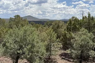 26 Acr 3027, Vernon, AZ 85940 - Photo 4