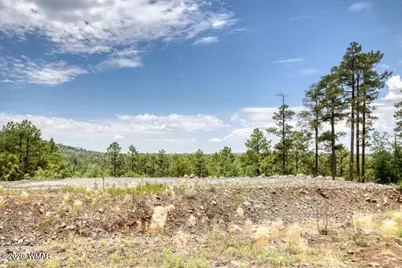 Tbd Jacks Lane, Pinetop, AZ 85935 - Photo 12