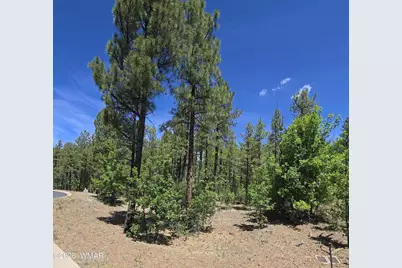 1412 Big Springs Trail, Lakeside, AZ 85929 - Photo 1