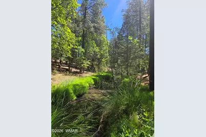 1412 Big Springs Trail, Lakeside, AZ 85929 - Photo 6