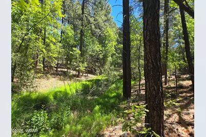 1412 Big Springs Trail, Lakeside, AZ 85929 - Photo 2