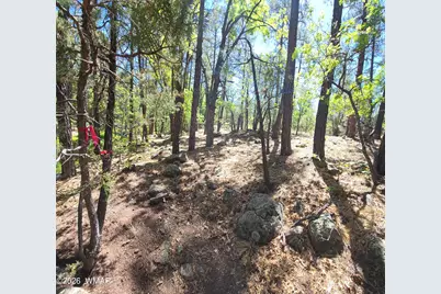 1412 Big Springs Trail, Lakeside, AZ 85929 - Photo 14