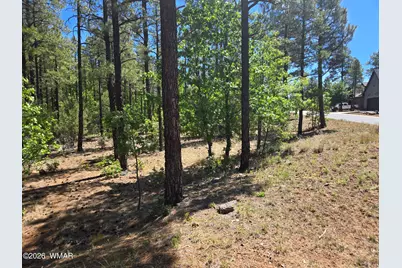 1412 Big Springs Trail, Lakeside, AZ 85929 - Photo 10