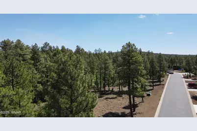 1412 Big Springs Trail, Lakeside, AZ 85929 - Photo 4