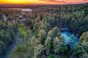 535 E Woodland Lake Rd, Pinetop, AZ 85935 - Photo 60