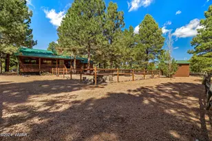 2708 Palomino Trail, Overgaard, AZ 85933 - Photo 30
