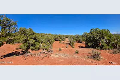 9880 Texas Lane, Show Low, AZ 85901 - Photo 18