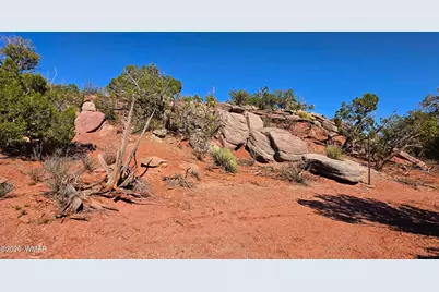 9880 Texas Lane, Show Low, AZ 85901 - Photo 4