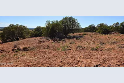 9880 Texas Lane, Show Low, AZ 85901 - Photo 28