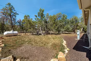 3069 Aspen Rd, Overgaard, AZ 85933 - Photo 24