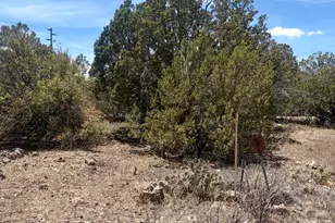 8301 Ridge Dr, Show Low, AZ 85901 - Photo 1