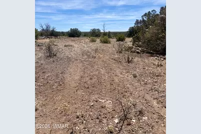 8301 Ridge Drive, Show Low, AZ 85901 - Photo 2