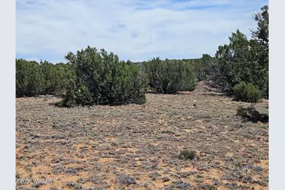Tbd Acr N8388 and N8385, Concho, AZ 85924 - Photo 22