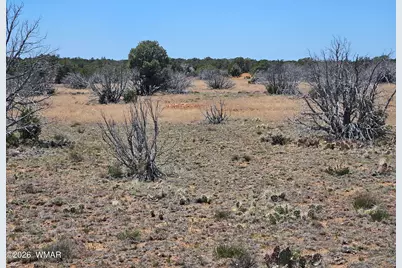 Tbd Acr N8388 and N8385, Concho, AZ 85924 - Photo 16