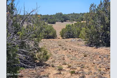 Tbd Acr N8388 and N8385, Concho, AZ 85924 - Photo 18
