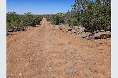 Tbd Acr N8388 and N8385, Concho, AZ 85924 - Photo 10