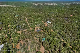 2797 Paradise Pines Rd, Overgaard, AZ 85933 - Photo 32