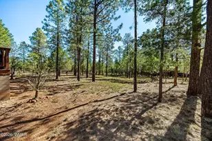 2797 Paradise Pines Rd, Overgaard, AZ 85933 - Photo 24