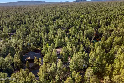 7172 Buck Springs Road, Pinetop, AZ 85935 - Photo 48