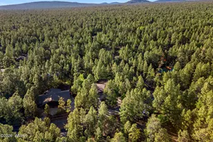 7172 Buck Springs Rd, Pinetop, AZ 85935 - Photo 48