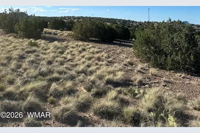 31 Mesquite Drive, Concho, AZ 85924 - Photo 2