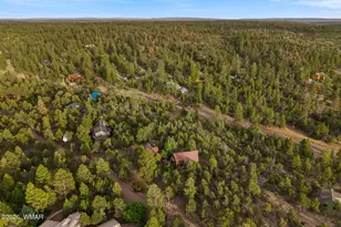1905 Ridge Rd, Heber, AZ 85928 - Photo 48