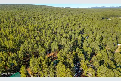 1249 S Stephens Drive, Pinetop, AZ 85935 - Photo 38