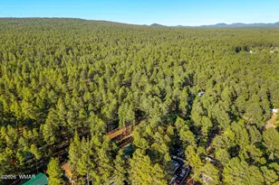 1249 S Stephens Dr, Pinetop, AZ 85935 - Photo 38