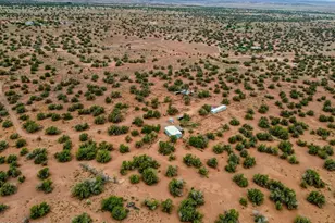 92 Cr N5417, Concho, AZ 85924 - Photo 40