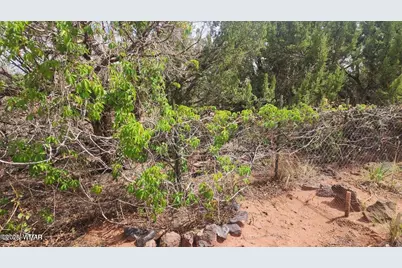 92 Cr N5417, Concho, AZ 85924 - Photo 34
