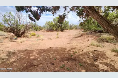 92 Cr N5417, Concho, AZ 85924 - Photo 36
