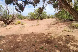 92 Cr N5417, Concho, AZ 85924 - Photo 36