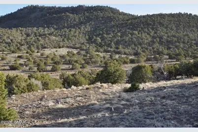 20 County Road 3044, Concho, AZ 85924 - Photo 6