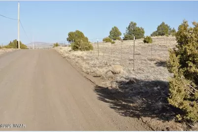 20 County Road 3044, Concho, AZ 85924 - Photo 4