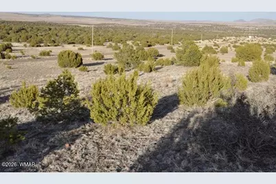 20 County Road 3044, Concho, AZ 85924 - Photo 12