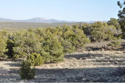20 County Road 3044, Concho, AZ 85924 - Photo 2
