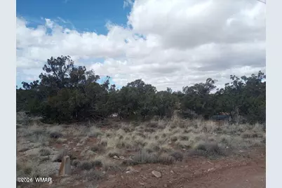 3958 Apache Road, Snowflake, AZ 85937 - Photo 6