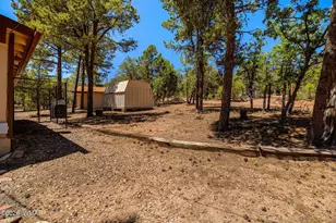 6239 Loggers Ln, Show Low, AZ 85901 - Photo 28