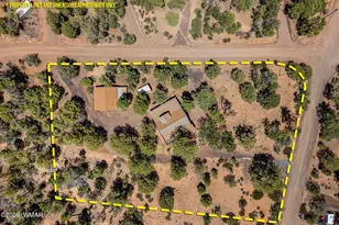 6239 Loggers Ln, Show Low, AZ 85901 - Photo 40