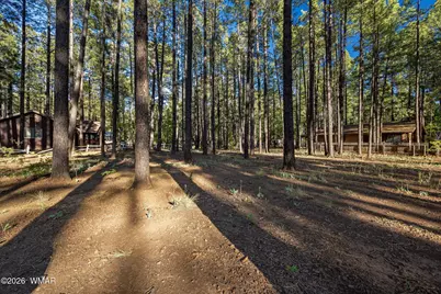8510 Alchesay Drive, Pinetop, AZ 85935 - Photo 2