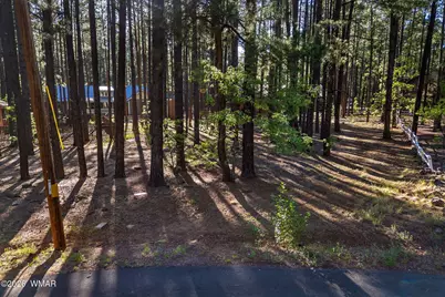 8510 Alchesay Drive, Pinetop, AZ 85935 - Photo 6