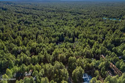8510 Alchesay Drive, Pinetop, AZ 85935 - Photo 10