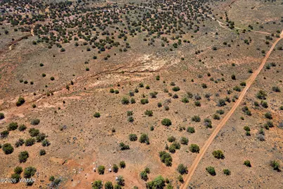 4322 Juniper Road, Snowflake, AZ 85937 - Photo 4