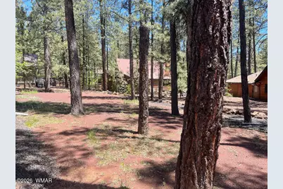 8239 Buck Springs Road, Pinetop, AZ 85935 - Photo 4
