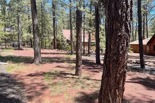 8239 Buck Springs Rd, Pinetop, AZ 85935 - Photo 4